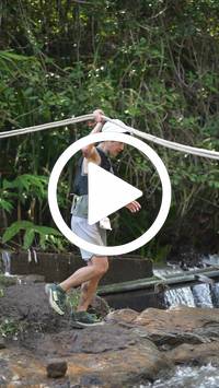 BIB:  <button type="button" onclick="openModal(27734753)" class="btn btn-primary btn-sm float-right" data-toggle="modal" data-target=".modal-high-quality">
                <i class="fa fa-download"></i> Download
                </button>